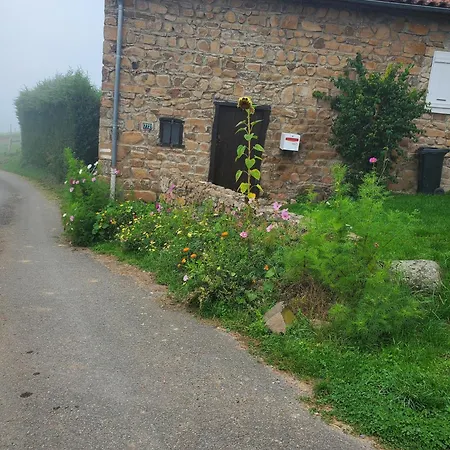 Maison De Charme Terrain Clos 500m² *