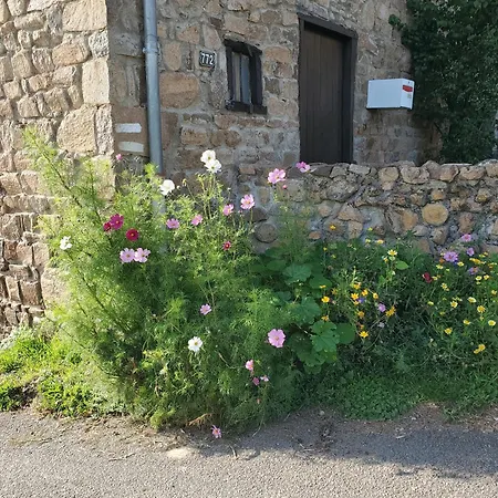 Maison De Charme Terrain Clos 500m²